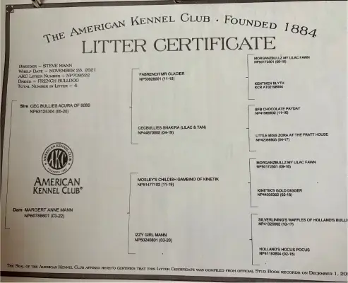 Picture of Vinnie's pedigree